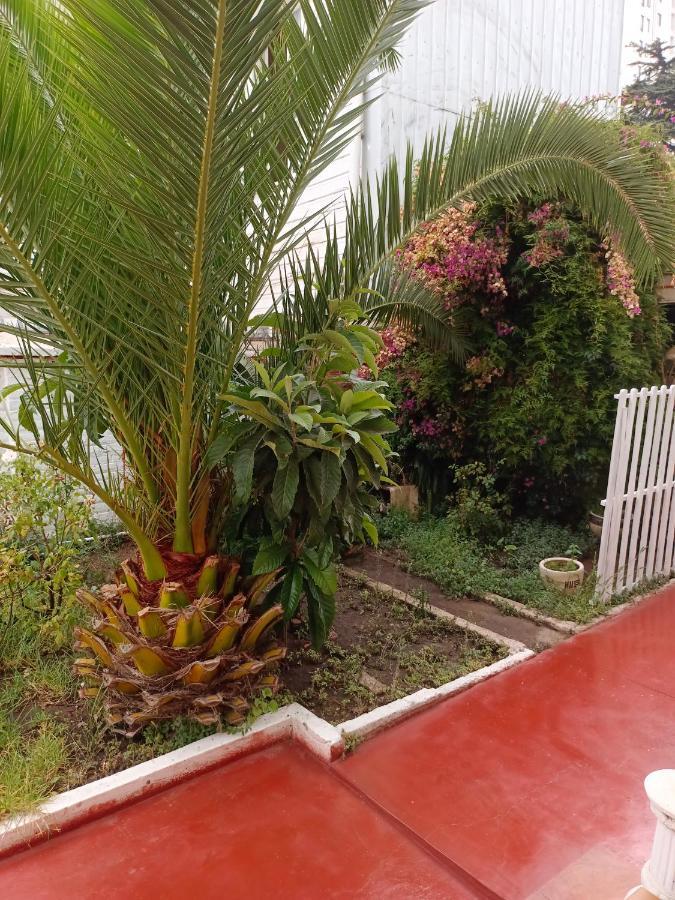 Hotel Paseo Valle فينيا ديل مار المظهر الخارجي الصورة